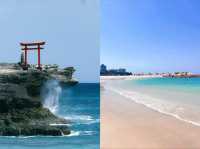 日本伊豆觀海｜賞最美海岸線