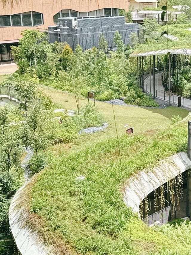 萬態雨林悅榕莊
