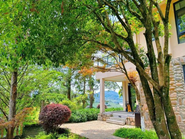 武夷山慢活記：三日兩夜唔爬山の療癒之旅