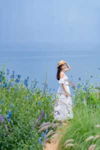 涠洲島最成功的一次春夏懸崖花園