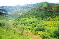 甘南大峪溝 | 邂逅人間淨土，探秘小眾寶藏地