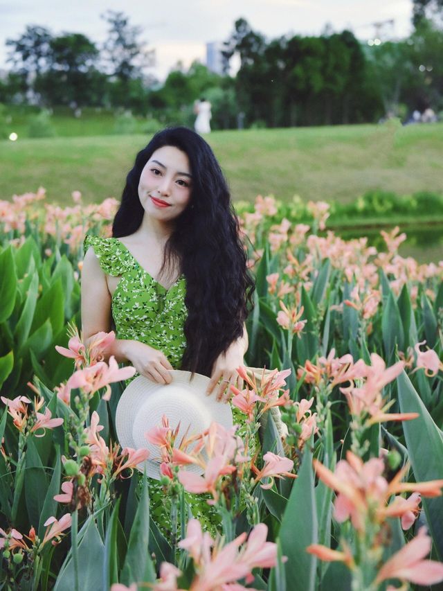跌入一片熾熱，與夏日撞個滿懷
