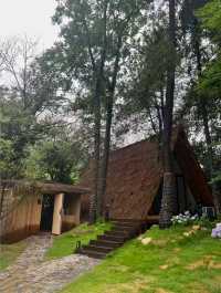 聽雨、品茗、安靜、放空…簡直不要太舒適！