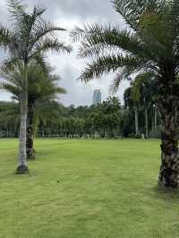 Drone Delivery In The Park, Experience The Future In Shenzhen. It’s Amazing 