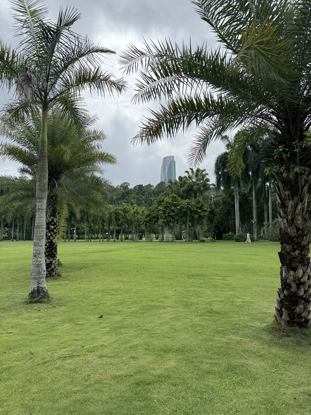 Drone Delivery In The Park, Experience The Future In Shenzhen. It’s Amazing 