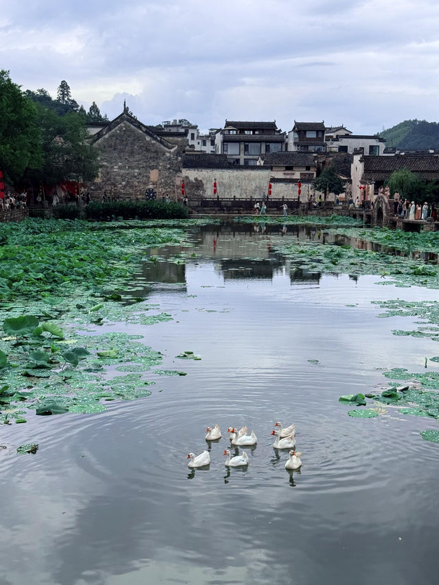 徽州呈坎皖南古鎮嘅夏日時光（附攻略