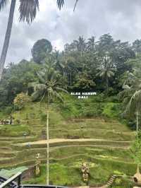 Cretya- Ubud
