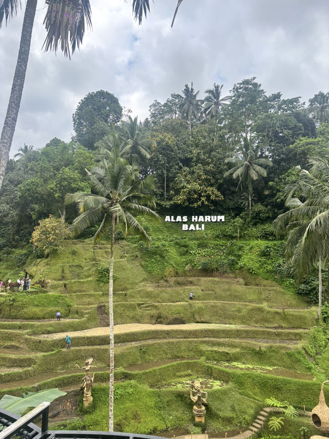 Cretya- Ubud