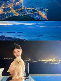 發掘小眾寶藏海島花鳥島！七月封神