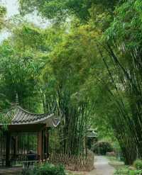 南寧狮山公園拍照秘境分享