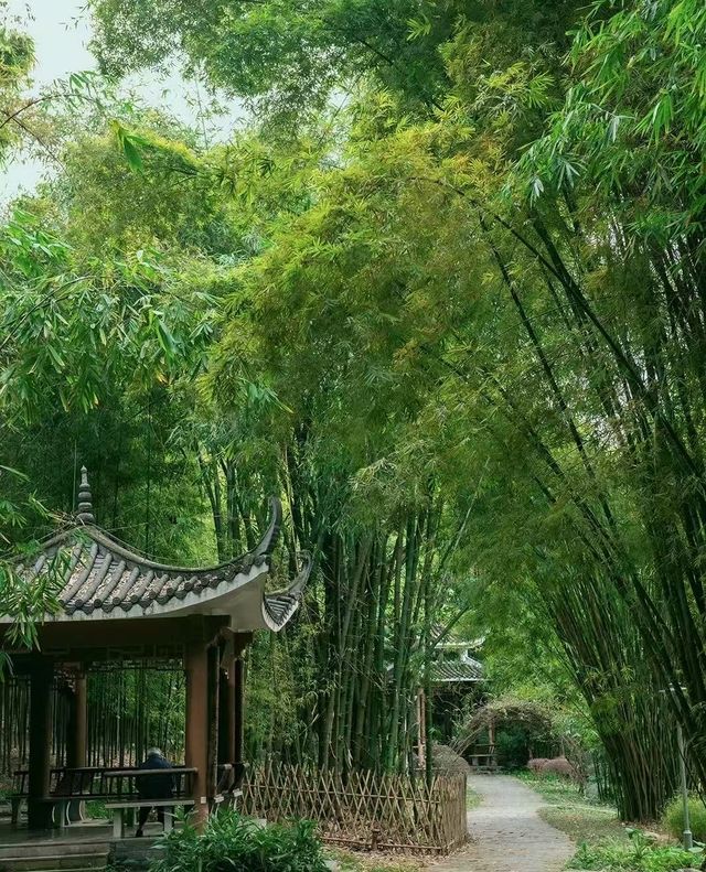 南寧狮山公園拍照秘境分享