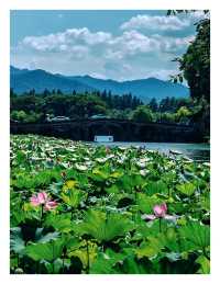杭州旅遊攻略