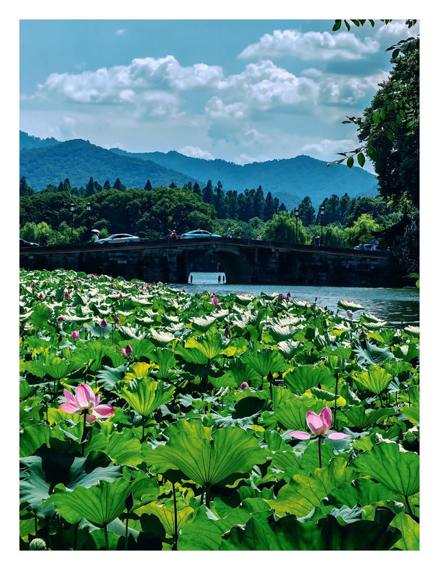 杭州旅遊攻略