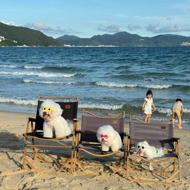 #海邊度假 #愜意海島生活 #玻璃海