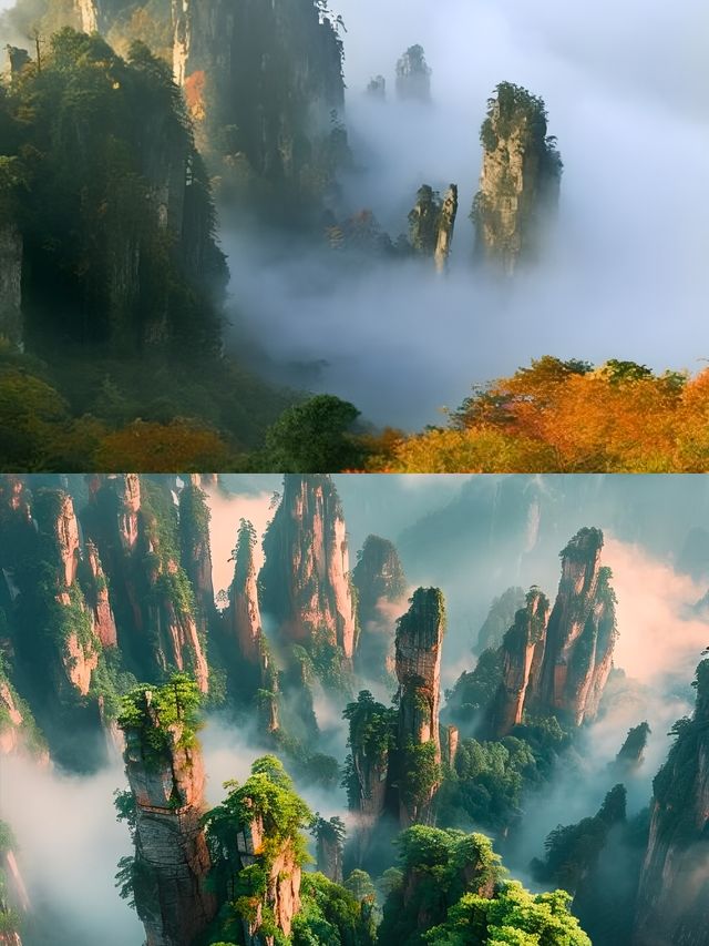 天門山雲海奇觀！張家界必打卡嘅仙境之旅