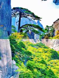 世道滄桑 我有何不敢上仙山
