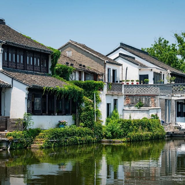 南潯古鎮 江南水鄉遊船 湖州夏天
