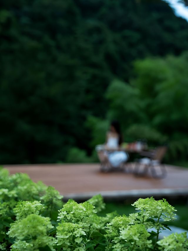 溪山林語 | 推窗見竹海，大自然才是我的舒適區。
