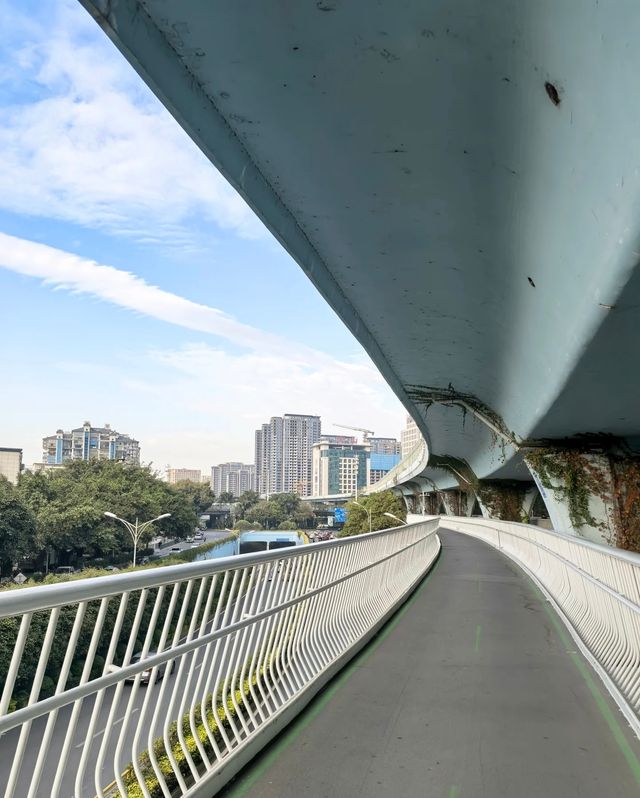 廈門單車大狂歡，住呢度直接爽到飛起！