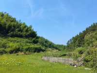 呼和浩特避暑攻略｜夏天到秋天都係25°C嘅快樂你明唔明！