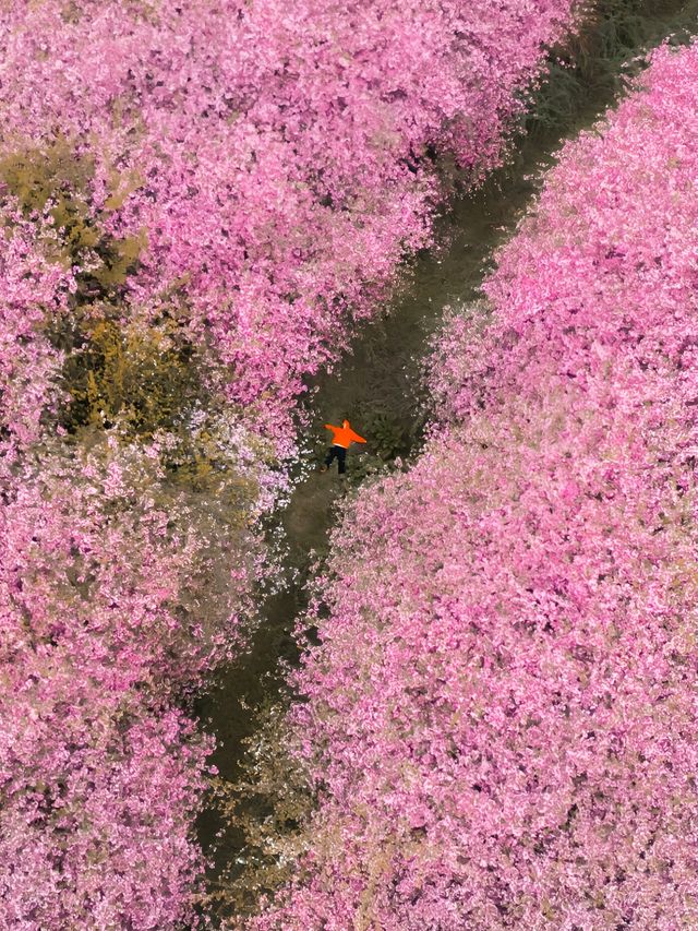 貴陽迎來封神季節