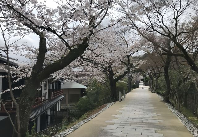 宇治—在京都旁邊遇見抹茶與古韻。