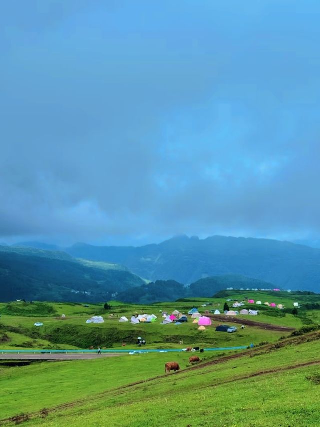 貴州六盤水吹來的風係19℃