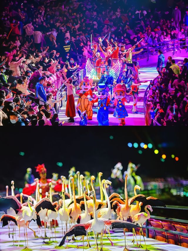 答應我：暑假一定要帶小朋友嚟睇長隆大馬戲團表演！！！