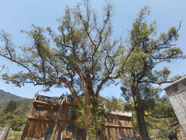 寧靜嘅上坦村