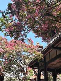 都江堰暑假一日遊攻略