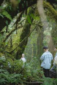 23℃毛毛球森林徒步避暑！拍出森系大片