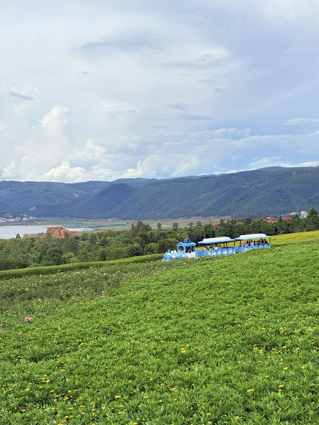 暑假親子遊|彌勒太平湖森林公園(附攻略) 暑假親子遊|彌勒太平湖森林公園(附攻略)