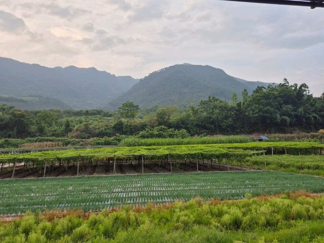 Guilin Surprise