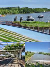 寶子們!雖然櫻花季已經悄然落幕,但那股浪漫餘韻彷彿還在!