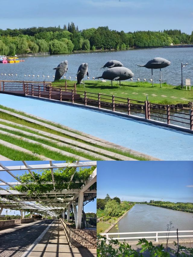 寶子們!雖然櫻花季已經悄然落幕,但那股浪漫餘韻彷彿還在! 寶子們!雖然櫻花季已經悄然落幕,但那股浪漫餘韻彷彿還在!