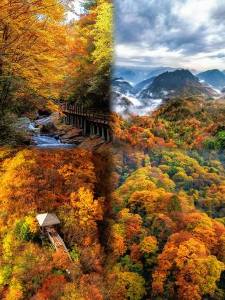 Life advice: Be sure to visit Mount Guangwu in autumn at least once