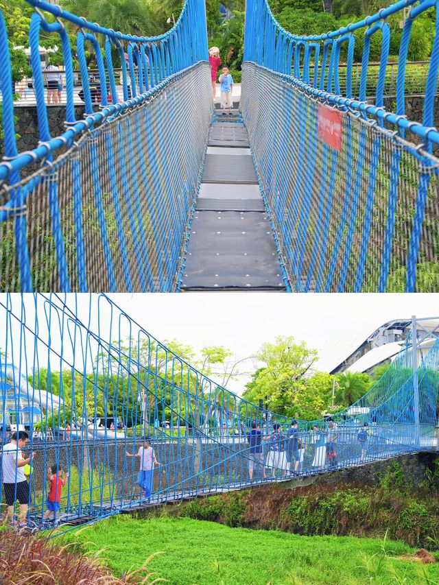 深圳放電神組合！鵬飛公園+金沙灣沙灘免費玩