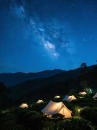 在景邁山住了5天，解鎖90%人不知道的玩法
