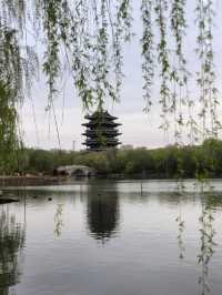 春遊大明湖全指南