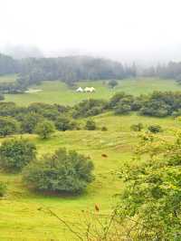 重慶仙女山，邂逅南國草原，探秘原始森林