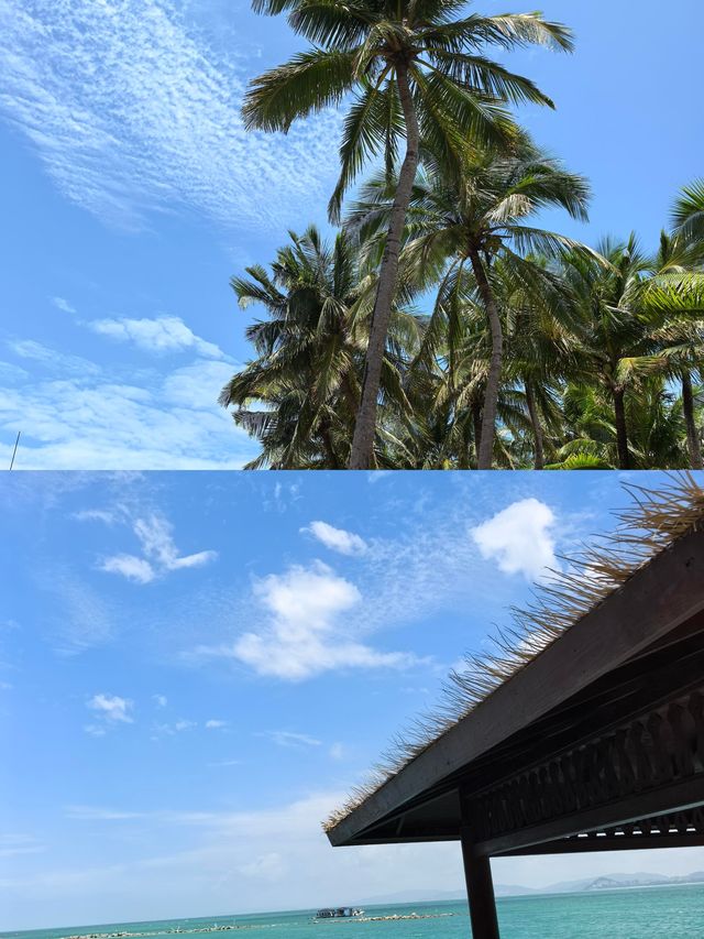 海南陵水分界洲島｜住島+遊玩全攻略，解鎖絕美玻璃海