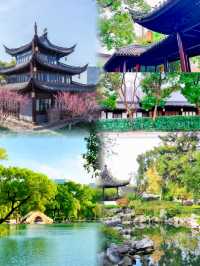 寧波月湖公園 | 千年古韻，一部寧波史，半部在月湖