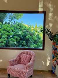 花海昆明絕美打卡點