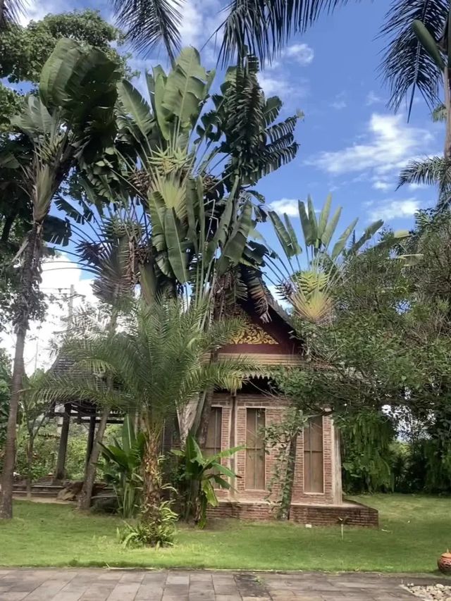 景洪曼聽御花園｜傣王御花園也太出片了吧！