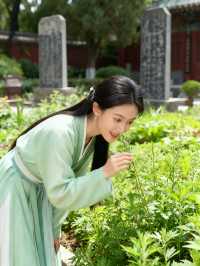 南陽4日遊 | 臥龍崗與丹江大觀苑經典組合・全人群適配攻略