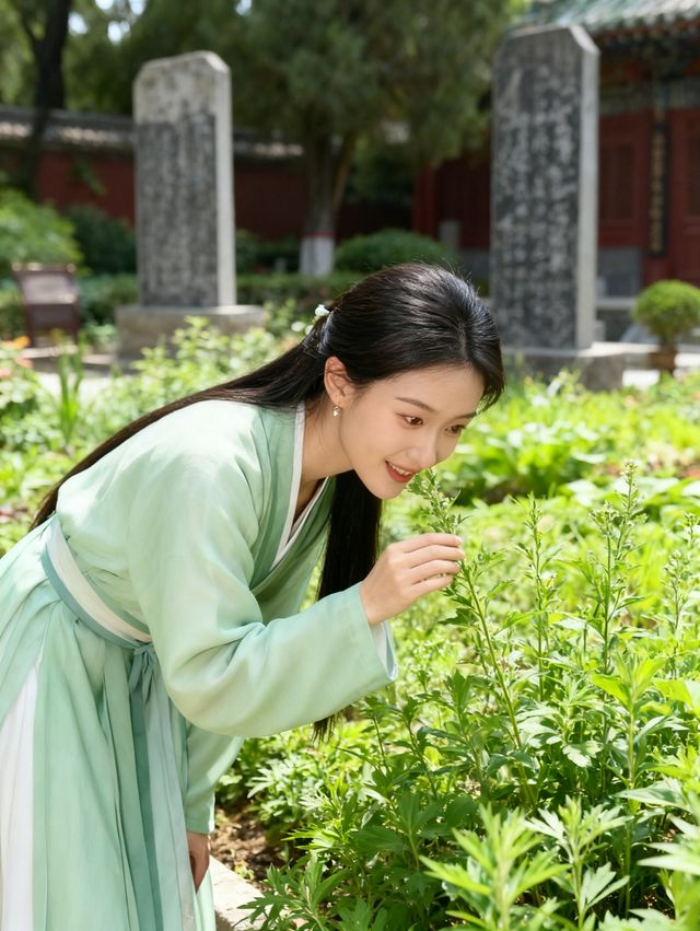 南陽4日遊 | 臥龍崗與丹江大觀苑經典組合・全人群適配攻略 南陽4日遊 | 臥龍崗與丹江大觀苑經典組合・全人群適配攻略