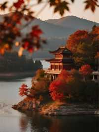 反向旅行爽呆了！茂蘭原始森林秋日探險，附攻略​