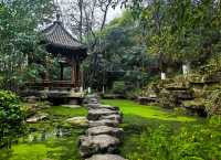 重慶照母山森林公園:山城之上的自然詩篇