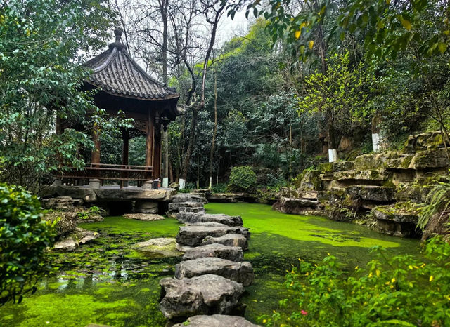 重慶照母山森林公園:山城之上的自然詩篇 重慶照母山森林公園:山城之上的自然詩篇
