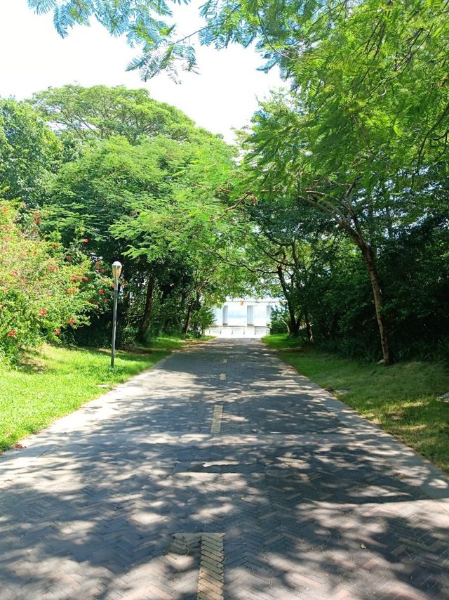 深圳灣公園 | 邂逅濱海浪漫,解鎖都市綠野仙蹤 深圳灣公園 | 邂逅濱海浪漫,解鎖都市綠野仙蹤